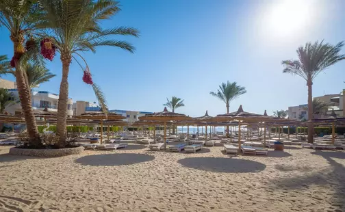 Seagull Beach Resort